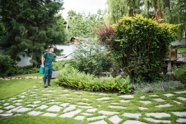 Best Ant Control Services  in Onawa, IA