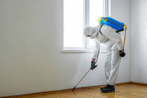 Best Pest Prevention Services  in Onawa, IA