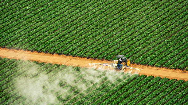 Best Commercial Pest Control Services  in Onawa, IA