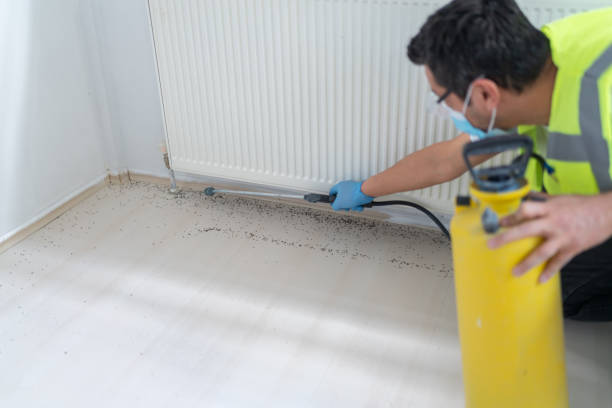 Best Pest Inspection Near Me  in Onawa, IA