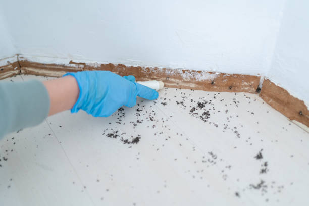 Pest Control for Restaurants in Onawa, IA